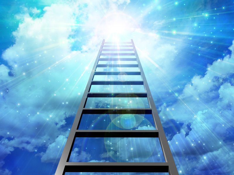 Climbing the ladder